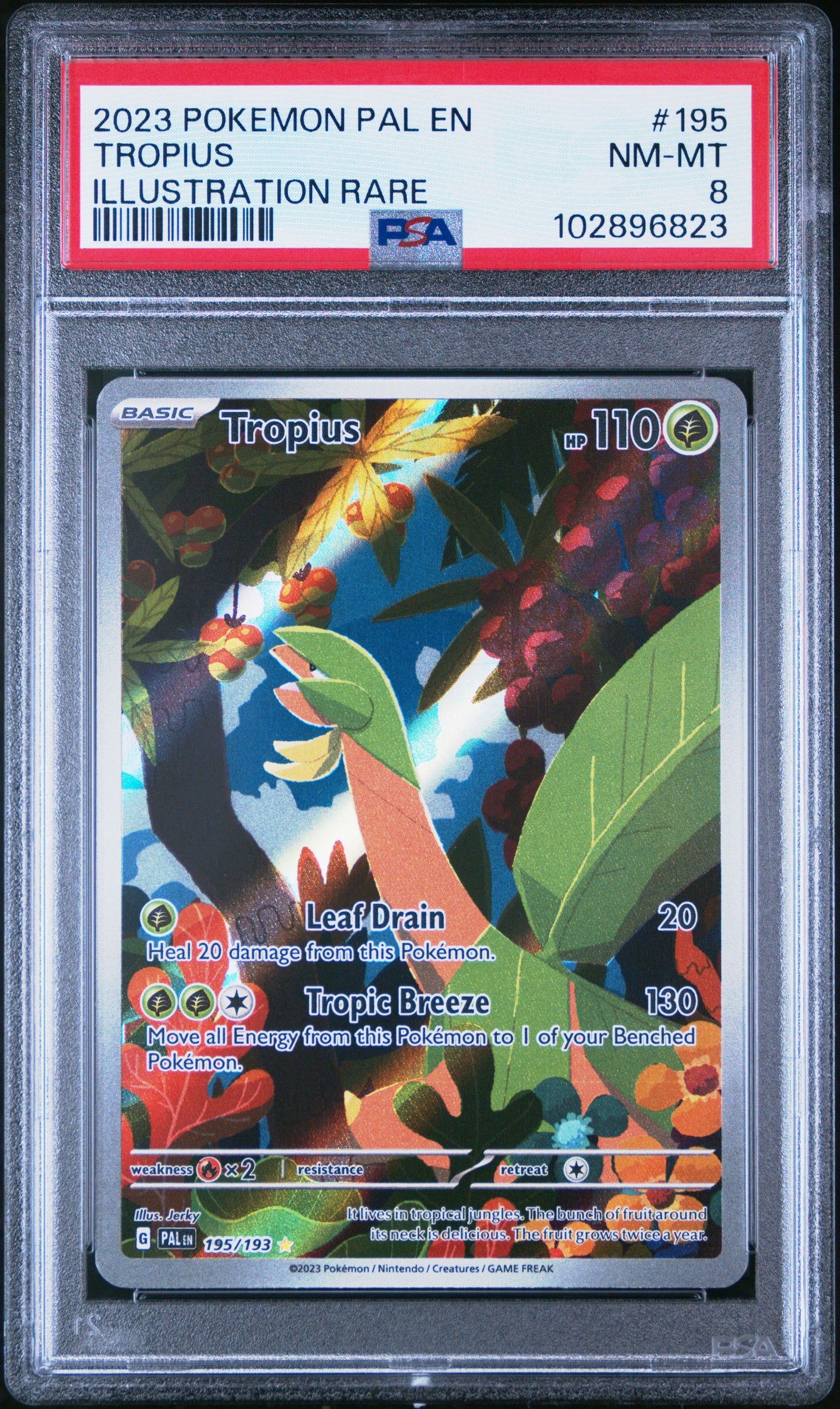 PSA 8 2023 POKEMON PAL EN-PALDEA EVOLVED #195 TROPIUS ILLUSTRATION RARE
