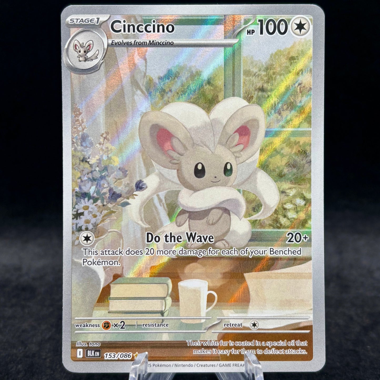 Cinccino - 153/086 Single Card