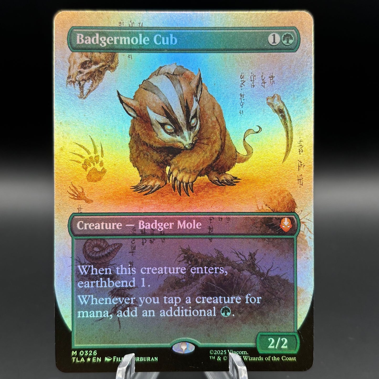 Badgermole Cub (Borderless) - Avatar: The Last Airbender (TLA) Single Card