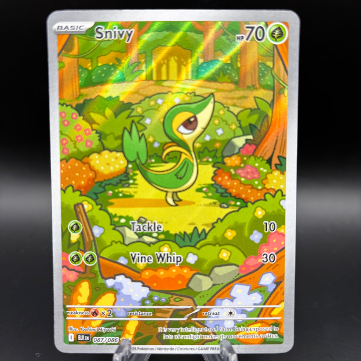 Snivy - 087/086 - SV: Black Bolt Single Card