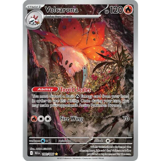 Volcarona - 100/086 - SV: Black Bolt