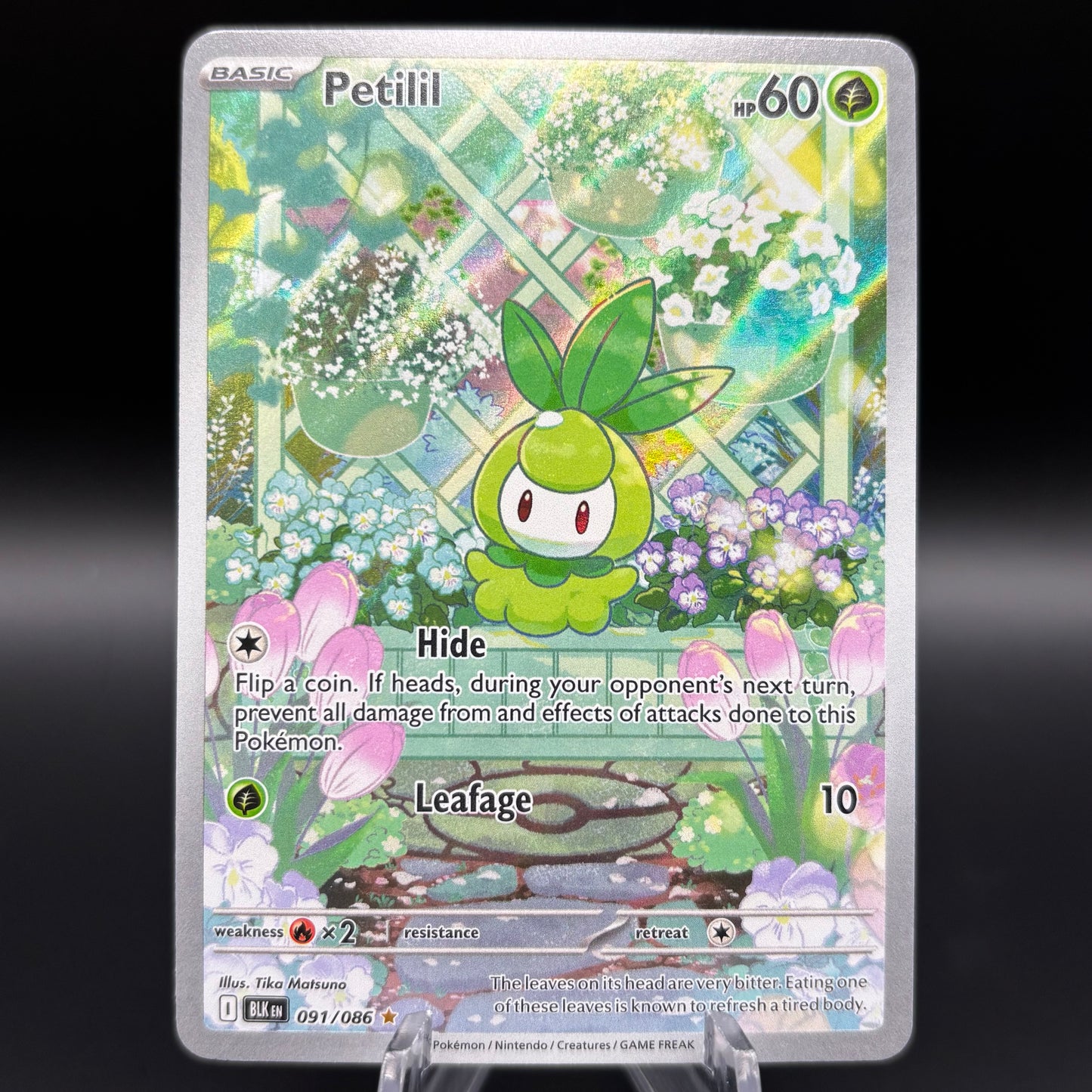 Petilil - 091/086 - SV: Black Bolt Single Card