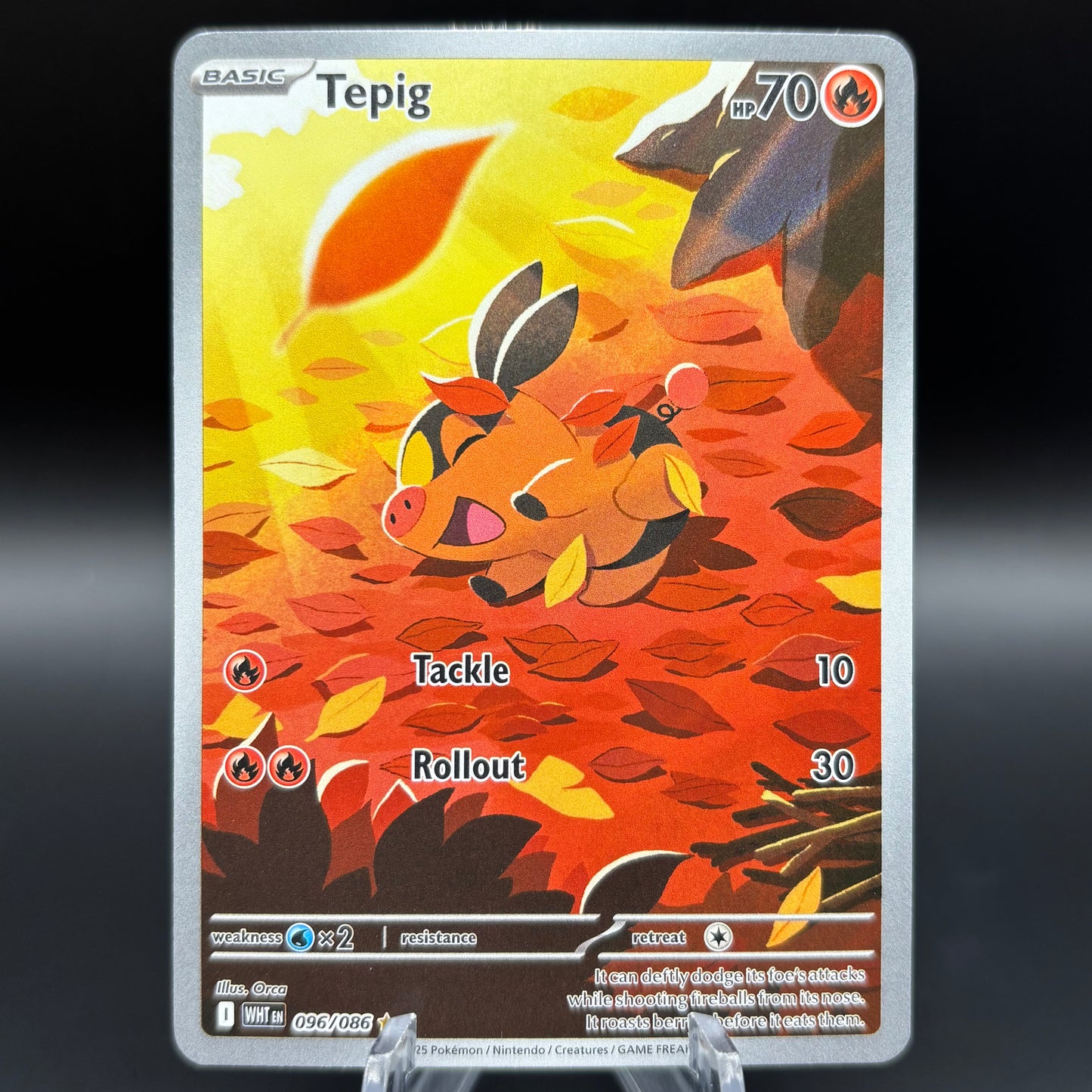 Tepig - 096/086 - SV: White Flare Single Card