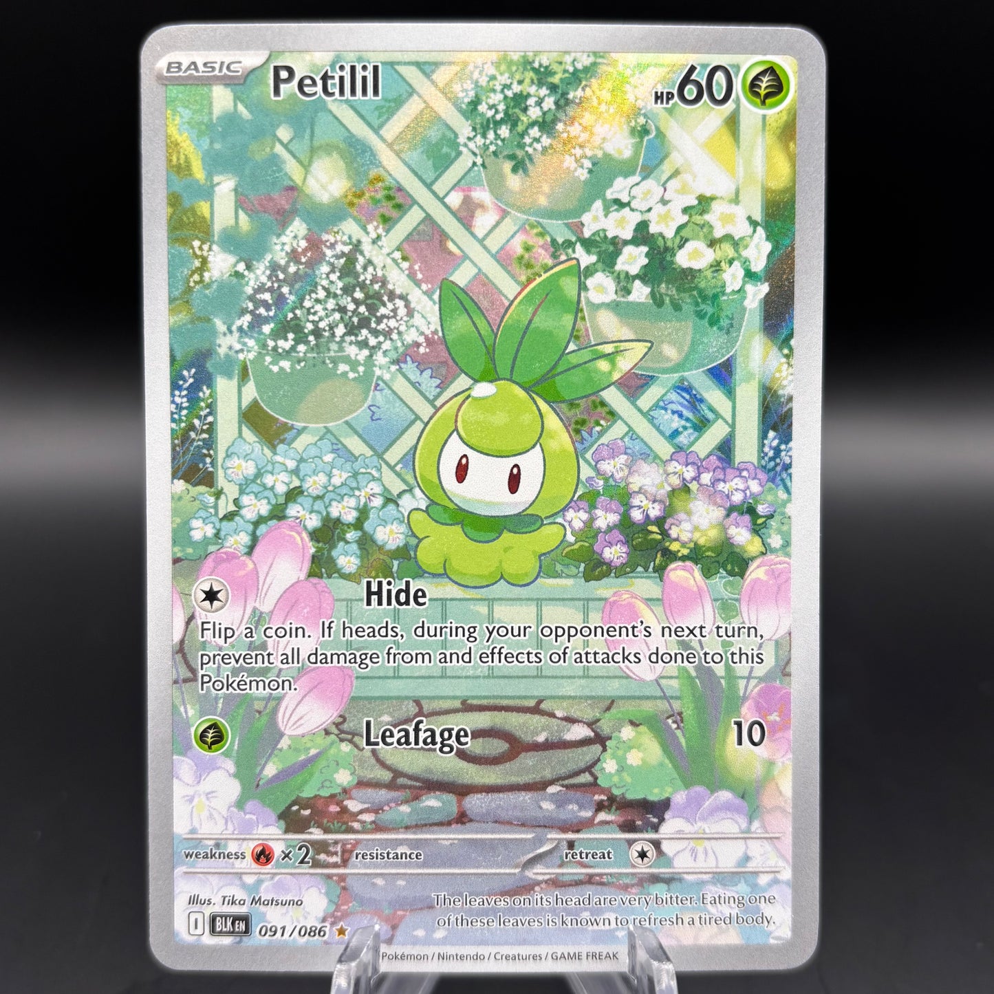 Petilil - 091/086 - SV: Black Bolt Single Card