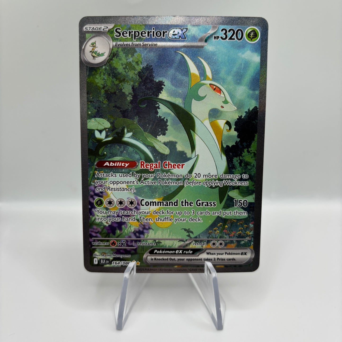 Serperior ex - 164/086 - SV: Black Bolt Single Card