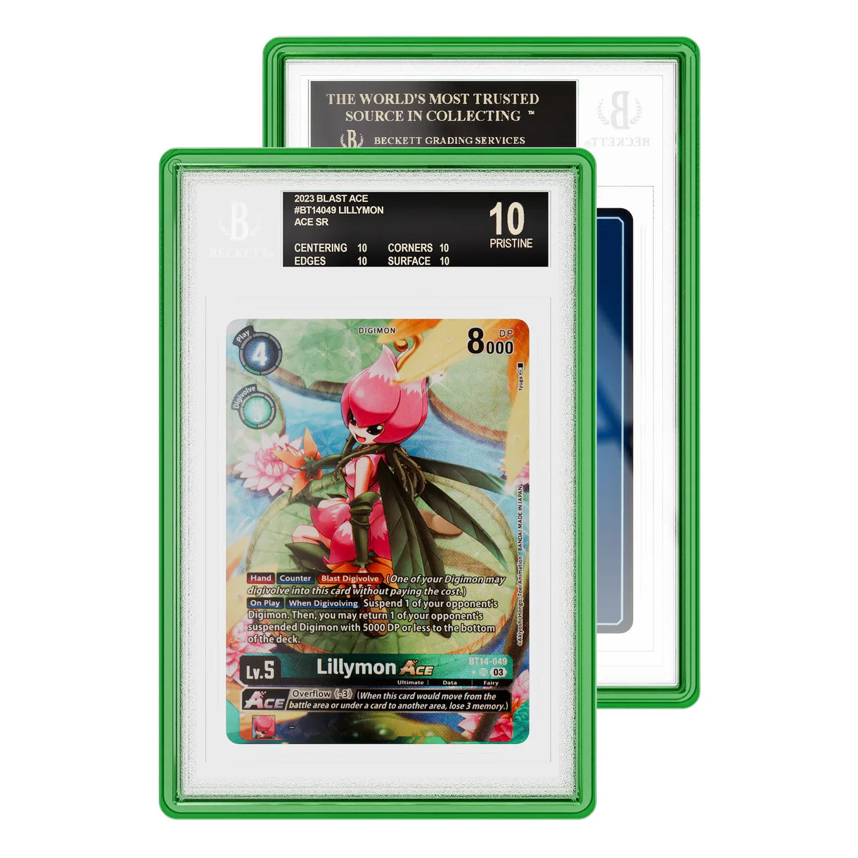 GradedGuard Jewel Case BGS