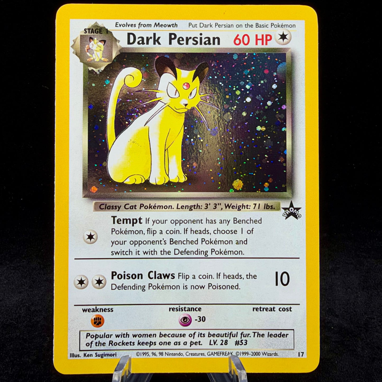 Dark Persian Single Card